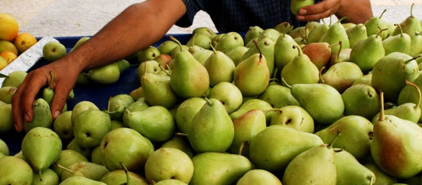 Βάλτε στη διατροφή σας τα αχλάδια - Τα τεράστια οφέλη για την υγεία σας